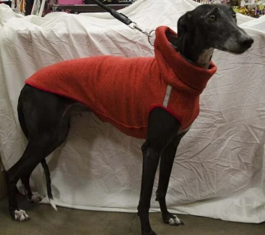 Pull levrier Holly Loo